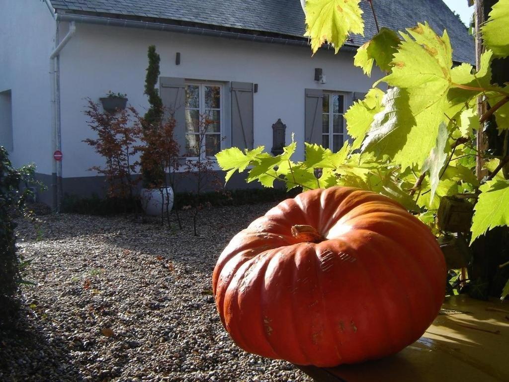 Gite Cottage D'Hamicourt Aux Portes De La Baie De Somme المظهر الخارجي الصورة